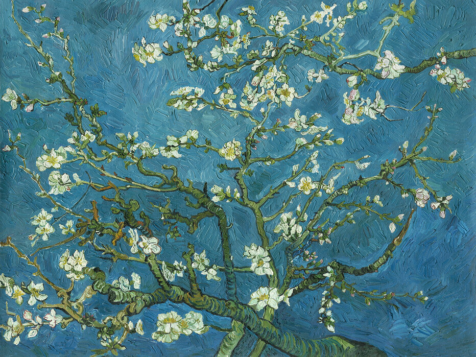 Almond Blossom